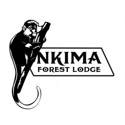Nkima Forest Lodge