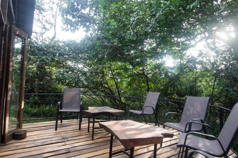 Nkima Forest Lodge – Take a break in the forest